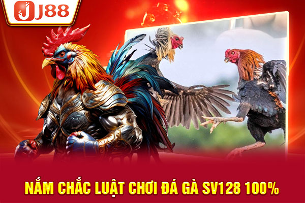 Nắm chắc luật chơi đá gà SV128 100% Nắm chắc luật chơi đá gà SV128 100%