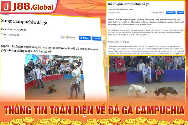 Thông tin toàn diện về đá gà Campuchia Thông tin toàn diện về đá gà Campuchia